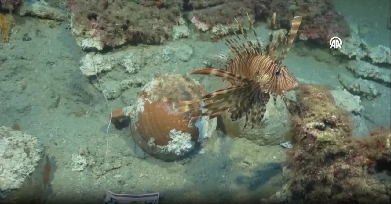 Fethiye kıyılarında heyecanlandıran keşif! 'Tunç çağından Osmanlı dönemine...'