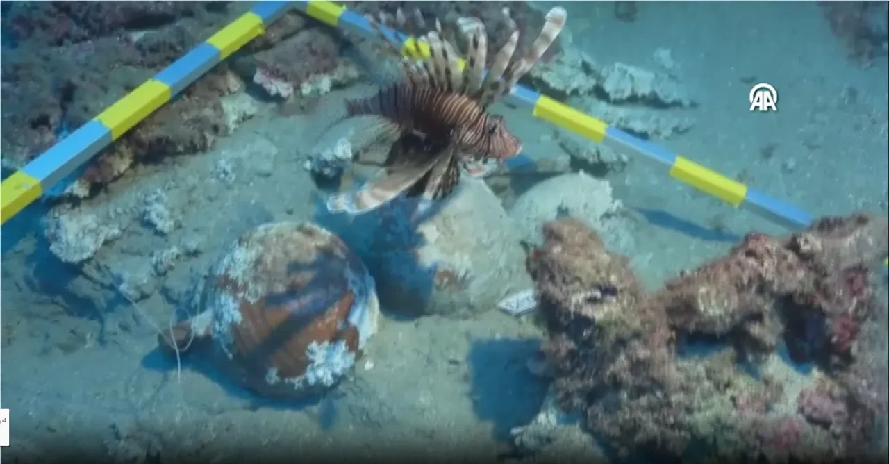 Fethiye kıyılarında heyecanlandıran keşif! 'Tunç çağından Osmanlı dönemine...'