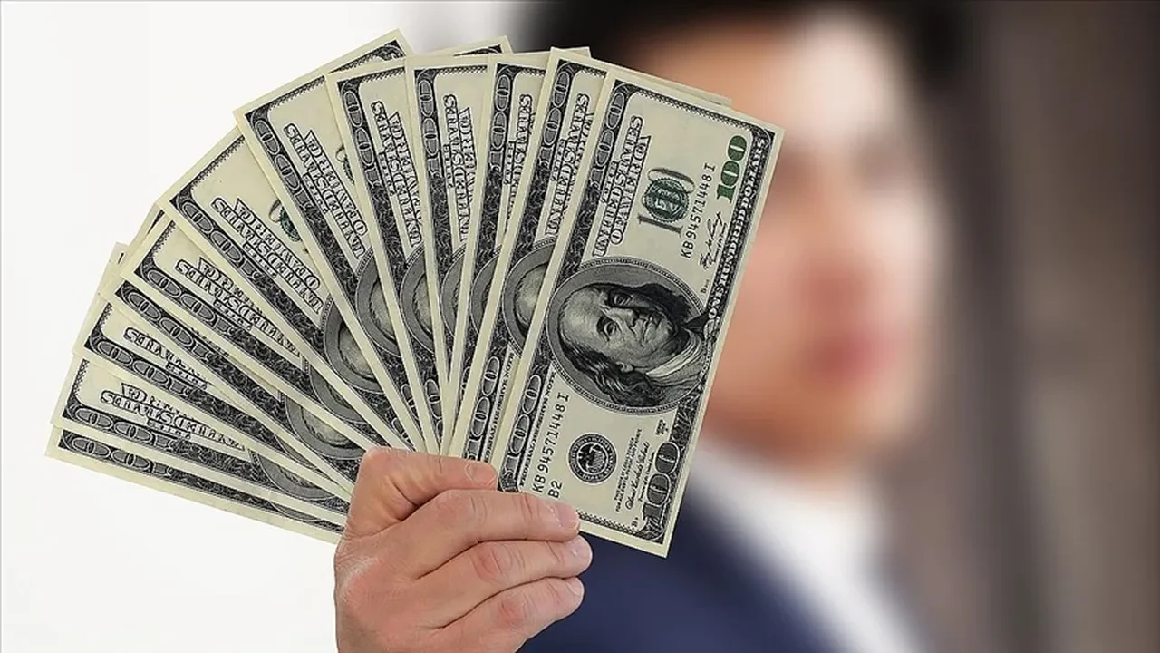 Özel sektörün yurt dışı kredi borcu Eylül ayında 206,2 milyar dolar oldu