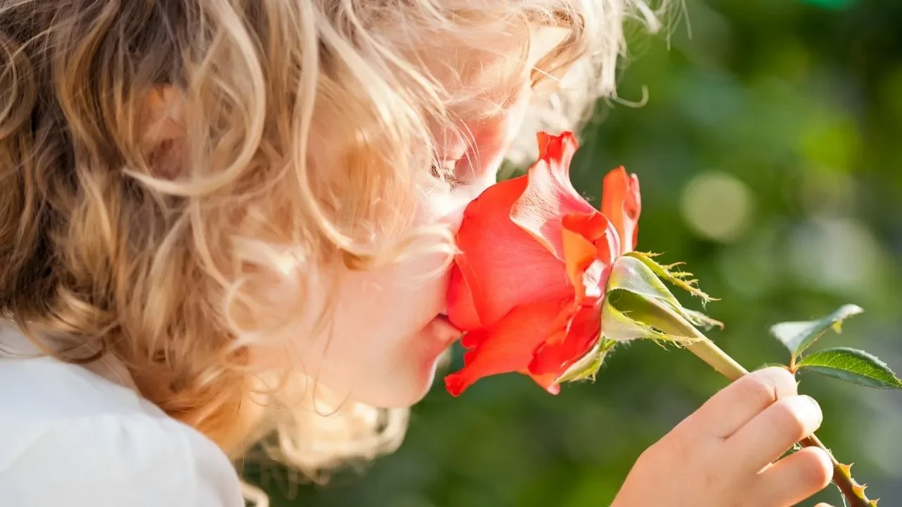 Dünya Prenses Günü mesajları! Kızıma, eşime, arkadaşıma en özel ve duygusal sözler