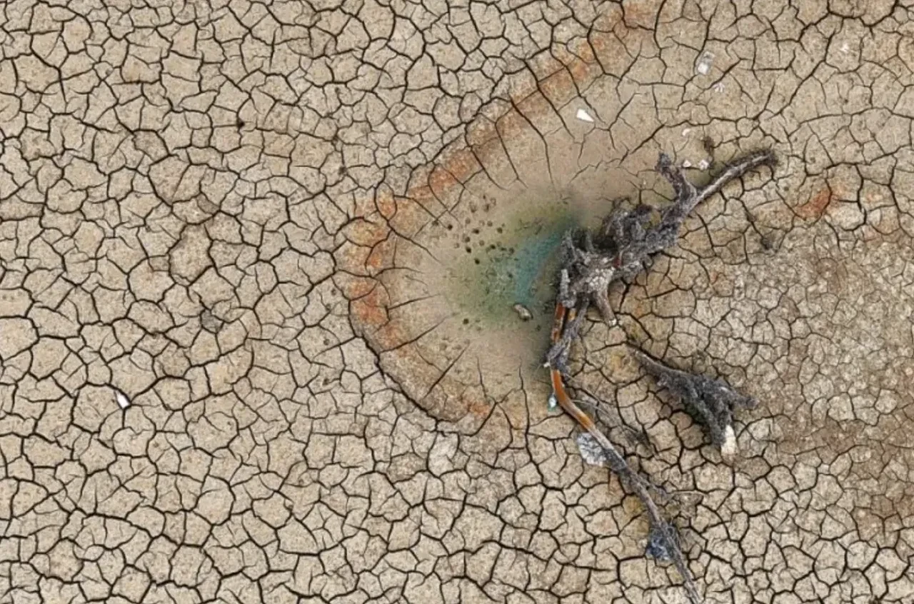 Durum daha da kötüye gidecek! Uzmandan Türkiye'ye 'felaket senaryoları' uyarısı 