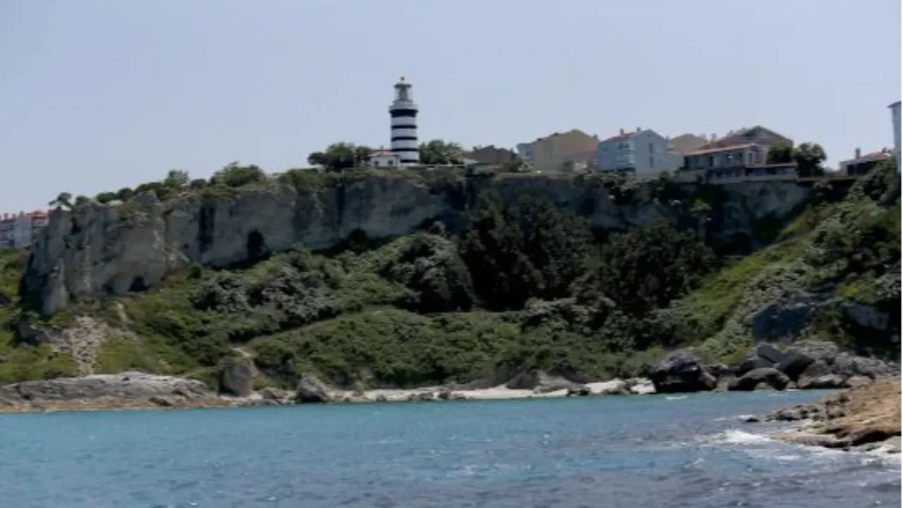 İstanbul Şile'de 21 mahalleye 'şap' karantinası