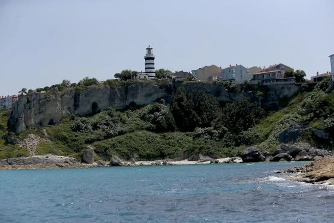 İstanbul Şile'de 21 mahalleye 'şap' karantinası