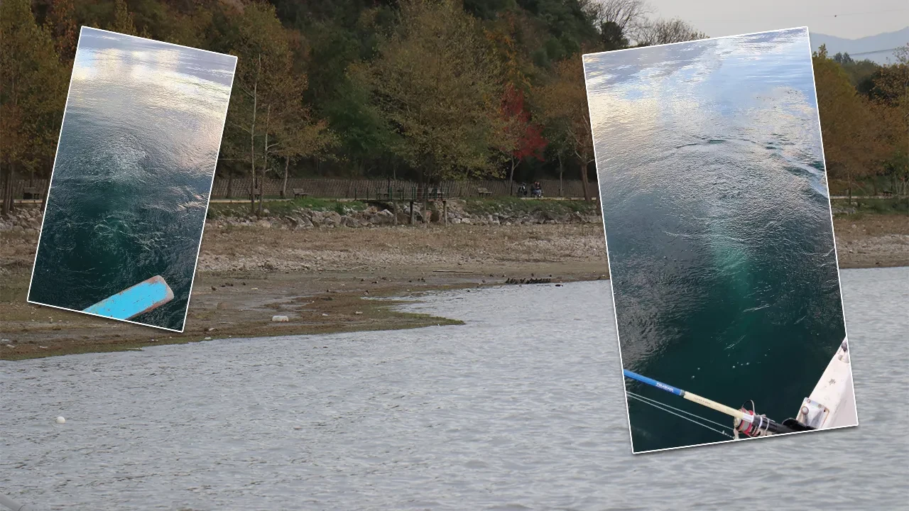Sapanca Gölü'nde tüyleri diken diken eden görüntü! 