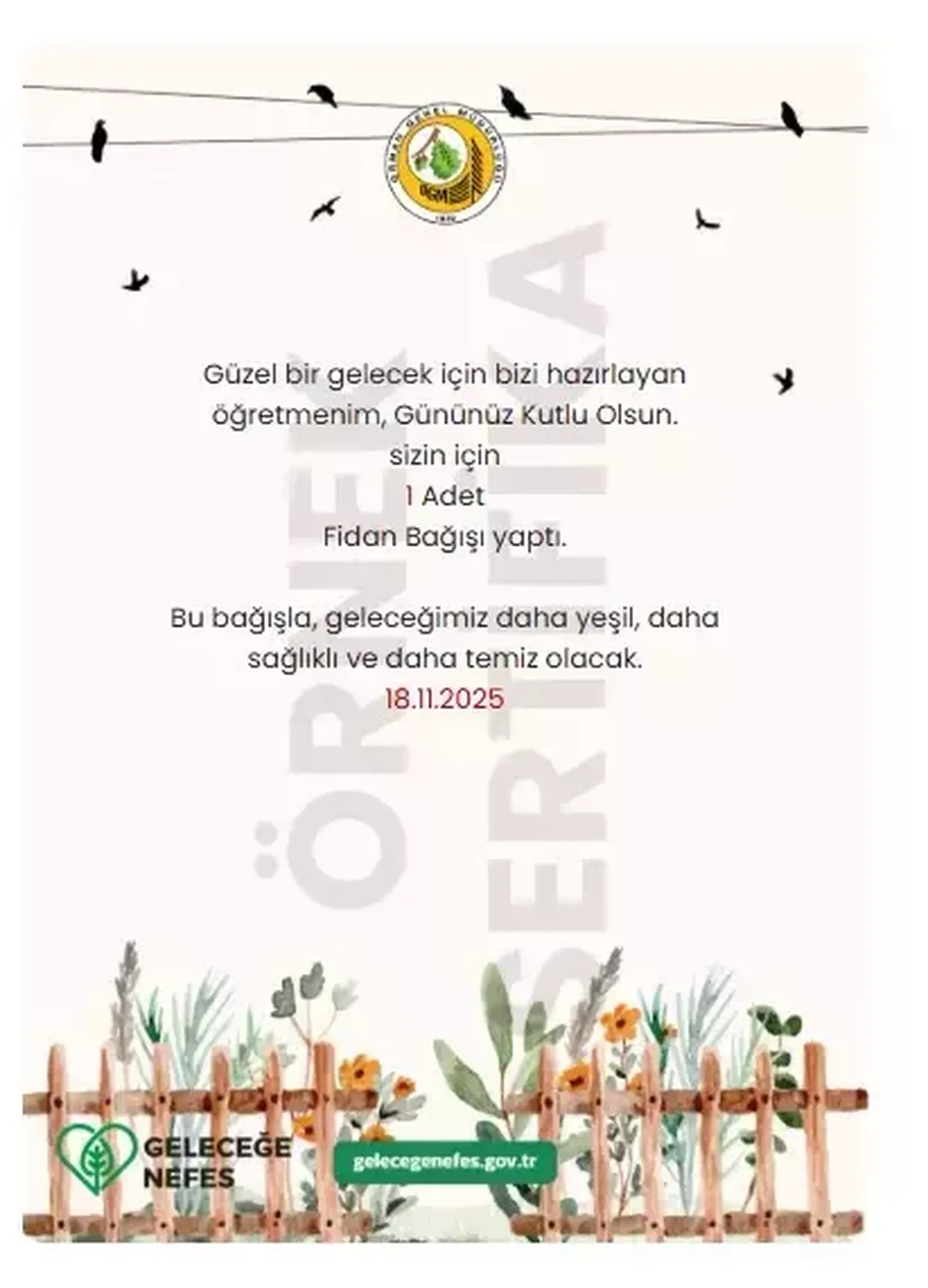 24 Kasım Öğretmenler Günü fidan bağışı kaç TL? En güzel Öğretmenler Günü hediyesi