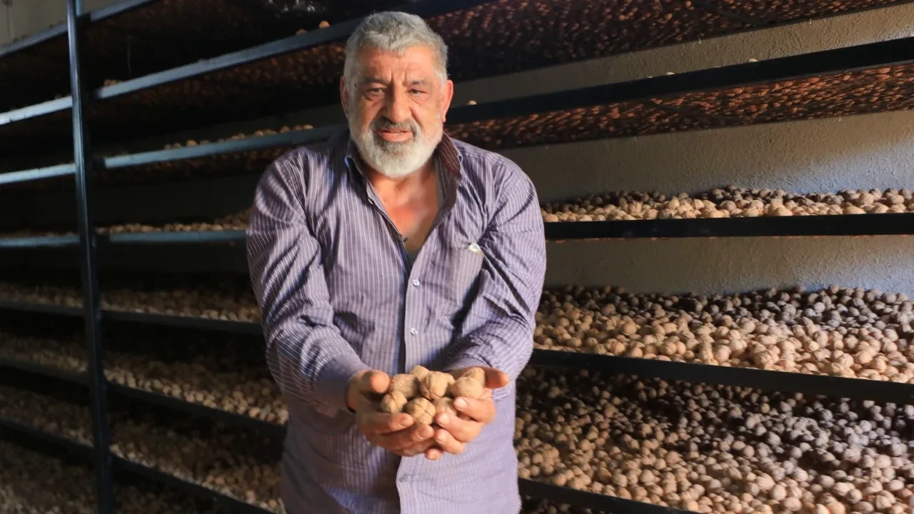 Avrupa’daki işinden daha çok kazanıyor! Yurda dönen gurbetçi kazancı tarlasında buldu