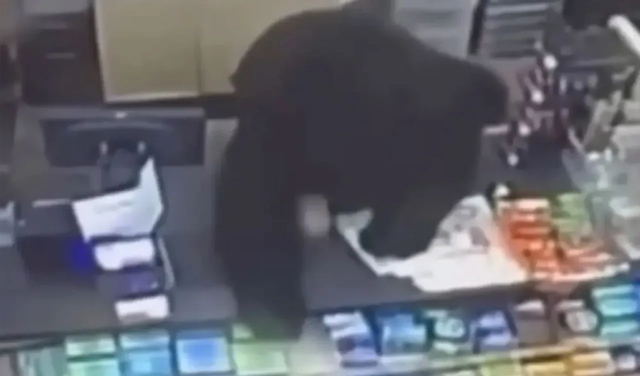 Az kalsın ayıya yem olacaktı! 11 yaşındaki çocuk nasıl kaçacağını şaşırdı