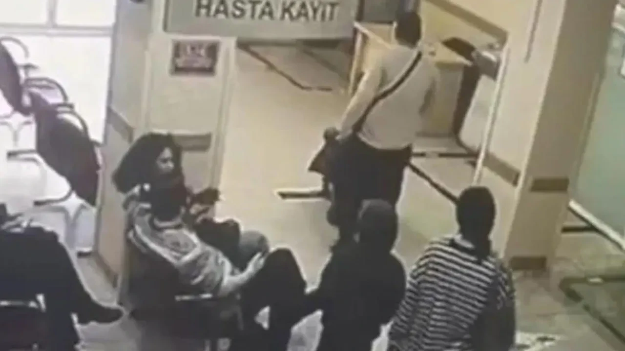 Böcek ailesinin olayında şüphelilerin ifadeleri ortaya çıktı