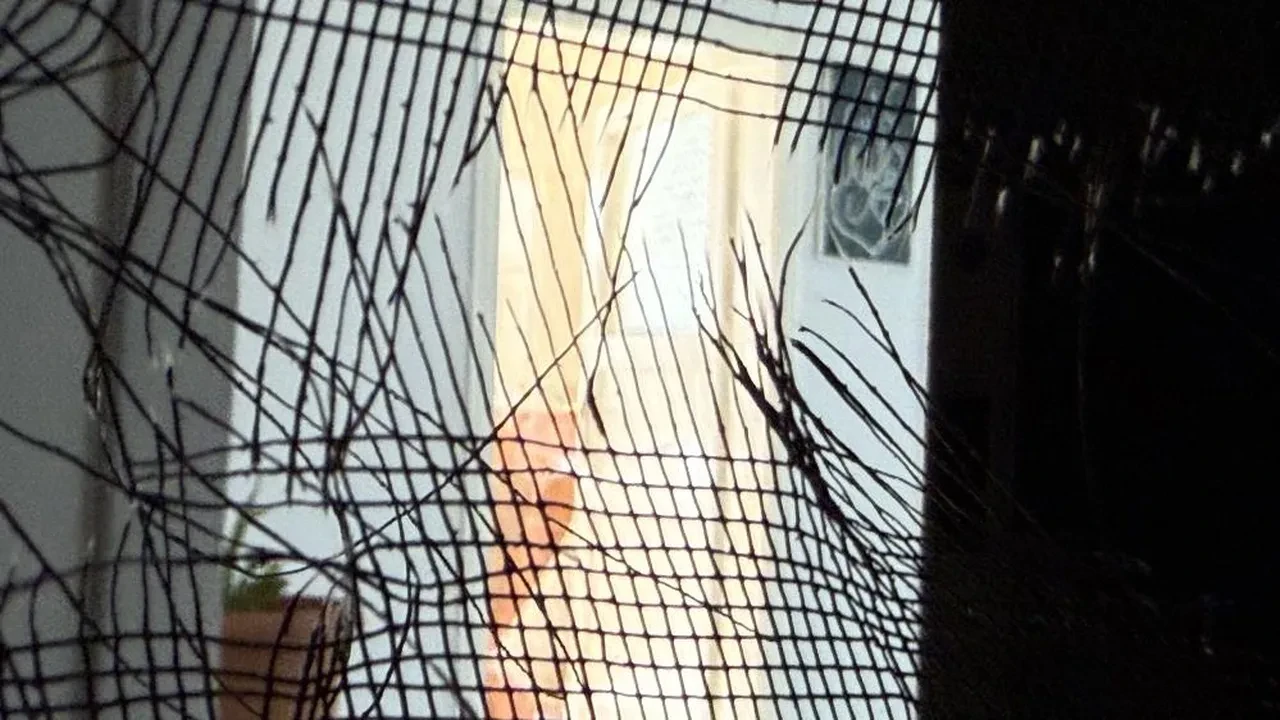 Diyarbakır'da kan donduran vahşet! Anne ve ağabeyini uyurken katletti