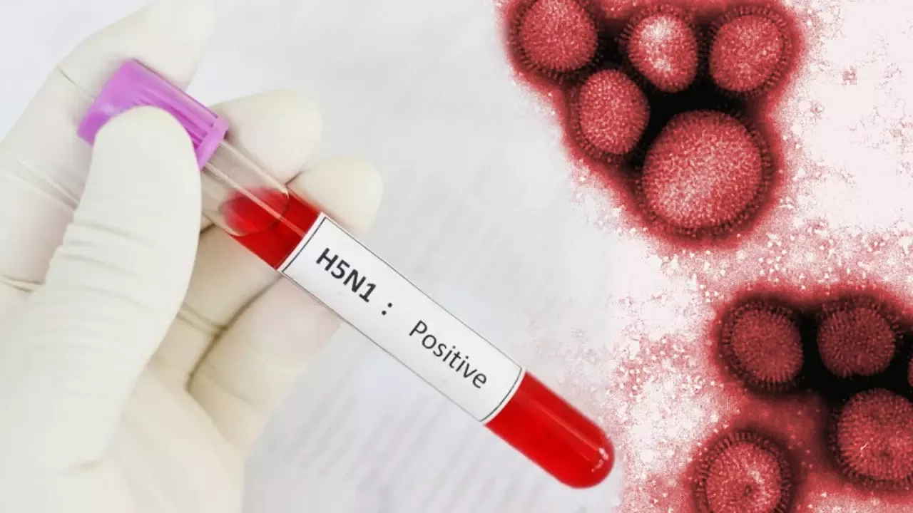 'Öngörülemez' virüs ilk kez bir insanda tespit edildi! Erkek hasta araştırılıyor