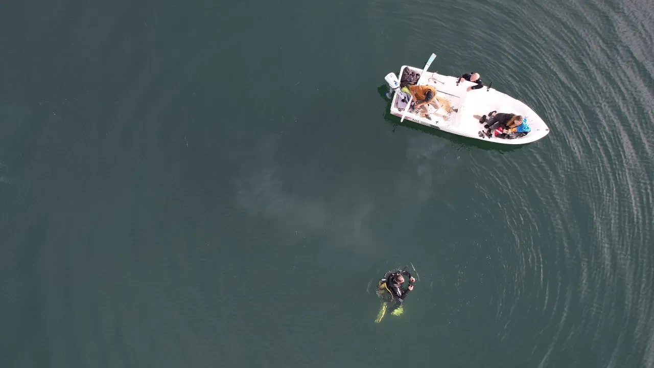 Sapanca Gölü'ndeki kabarcıklar ürpertti: Deprem habercisi mi? Su altından görüntüleme yapıldı
