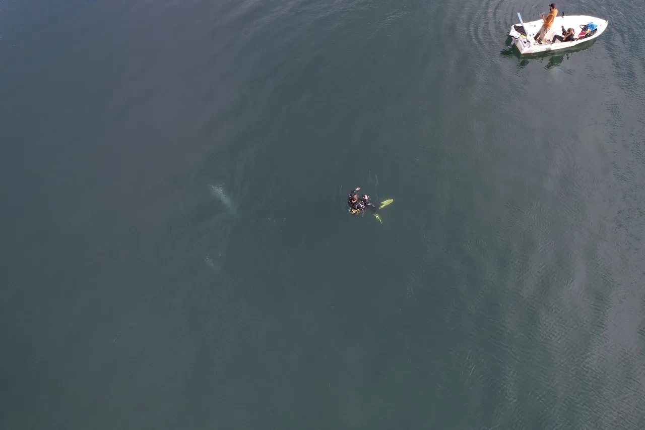 Sapanca Gölü'ndeki kabarcıklar ürpertti: Deprem habercisi mi? Su altından görüntüleme yapıldı