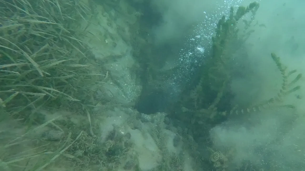 Sapanca Gölü'ndeki kabarcıklar ürpertti: Deprem habercisi mi? Su altından görüntüleme yapıldı