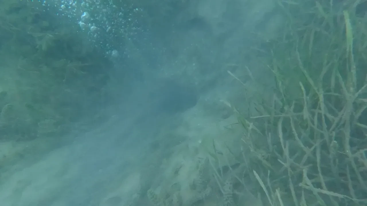 Sapanca Gölü'ndeki kabarcıklar ürpertti: Deprem habercisi mi? Su altından görüntüleme yapıldı