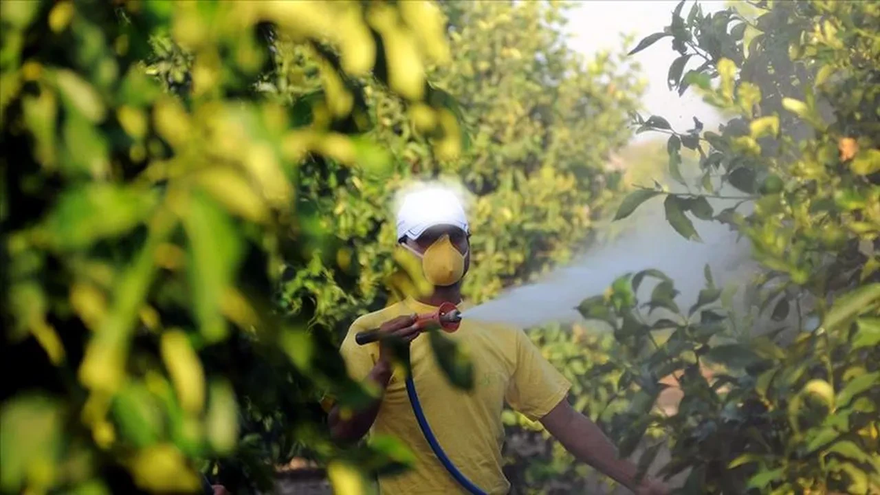 Sokak lezzetleri için yeni karar: Bakan Yumaklı açıkladı