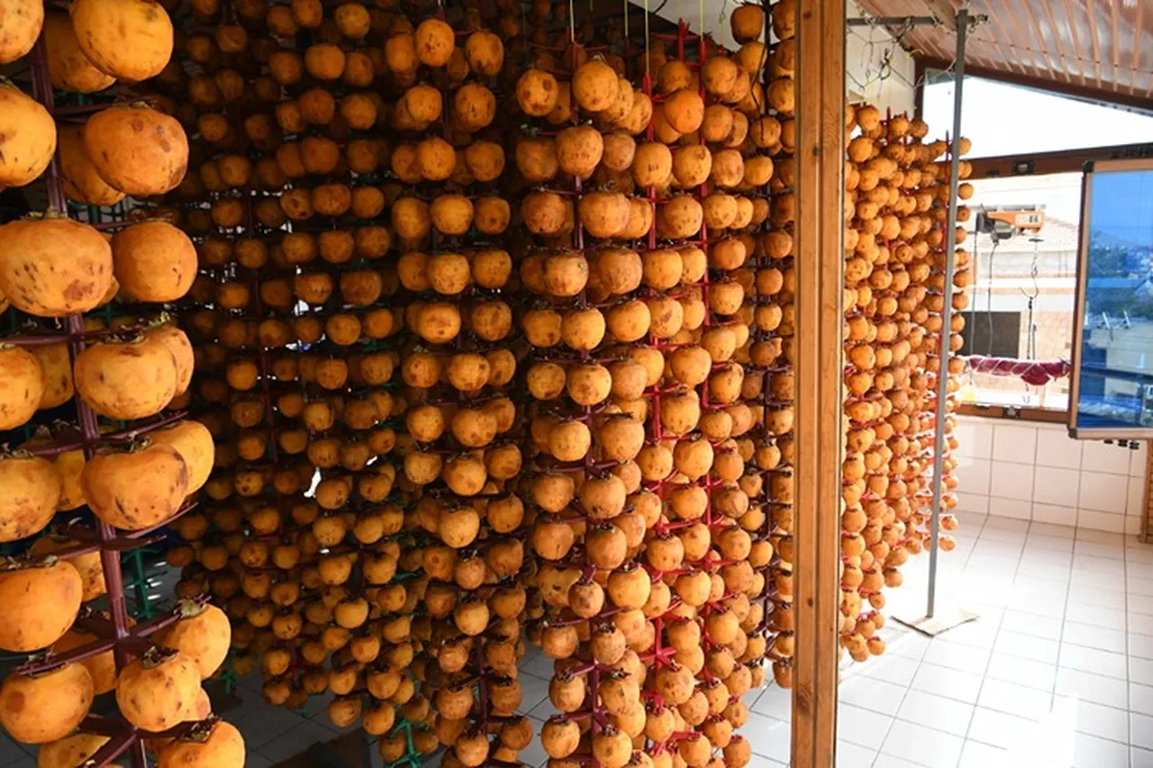 50 liralık hurmayı 500 lira yaptı! Orijinal kurutma metoduyla paraya para demiyor