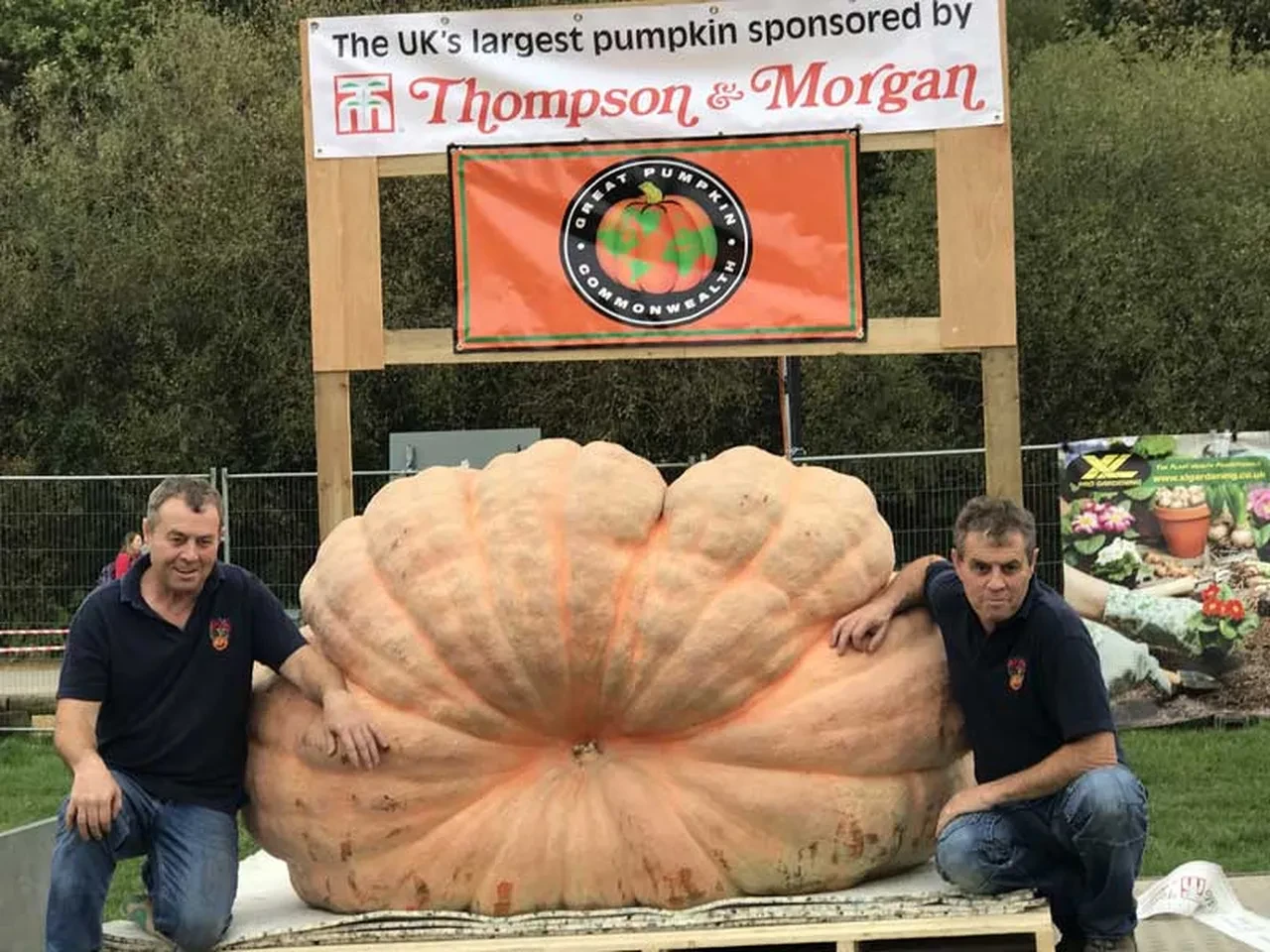 Devasa balkabağı dünyanın en büyüğü ve ağırı! Vinçle taşındı