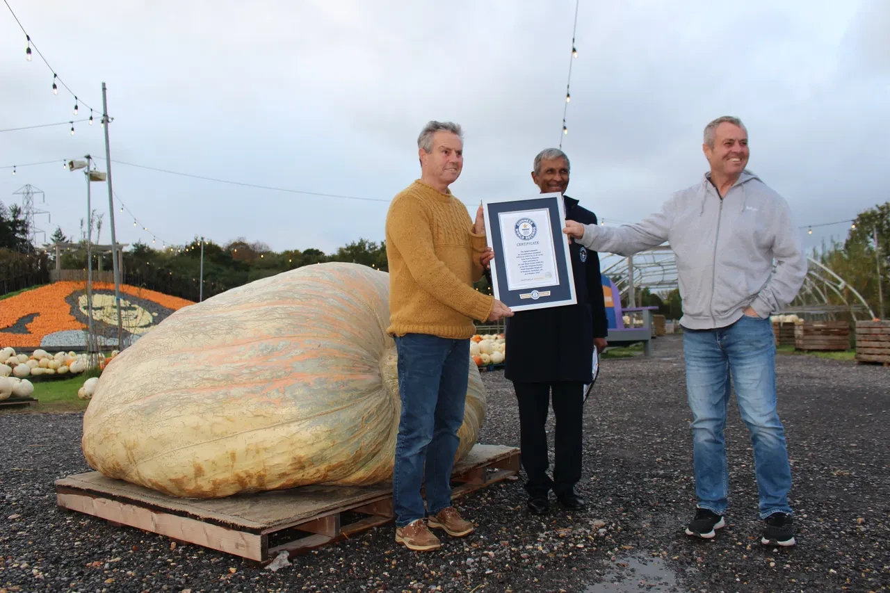 Devasa balkabağı dünyanın en büyüğü ve ağırı! Vinçle taşındı