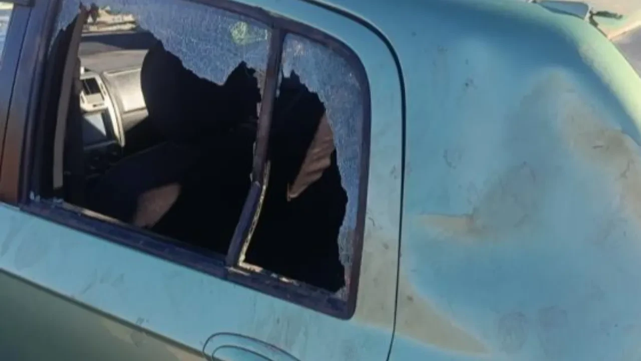 Gümüşhane’de ayı park halindeki araca saldırdı! Otomobil yarım metre kaydı