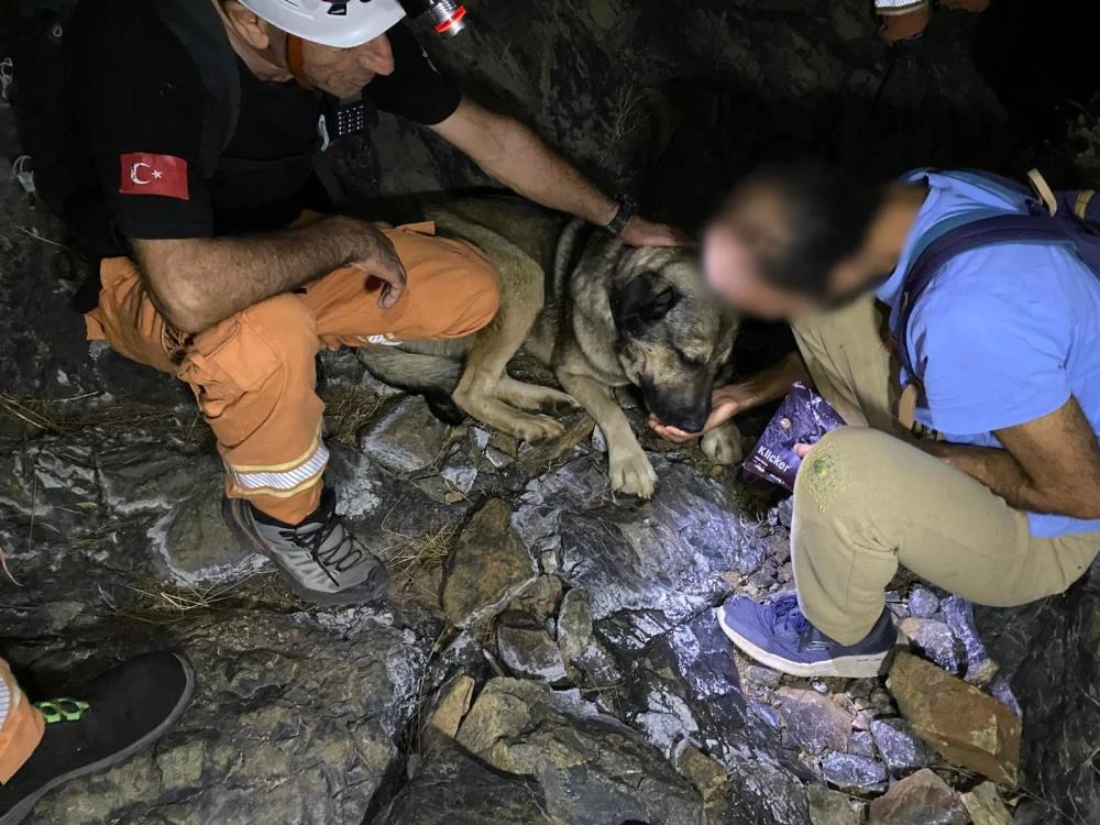 Datça’da doğa yürüyüşçüsü ormanda mahsur kaldı: 4 saatte kurtarıldı