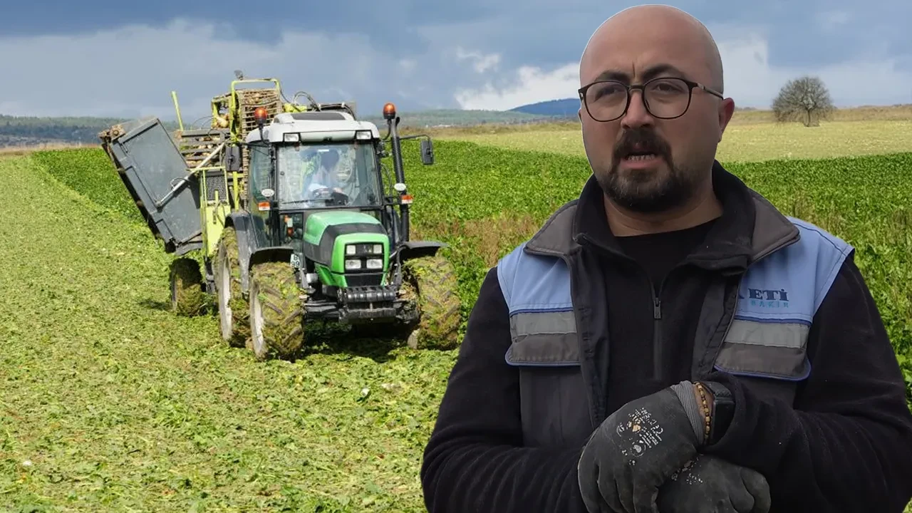 Kastamonu'da pancar hasadı! Çiftçi korkutan ihtimali ibretlik bir sözle özetledi