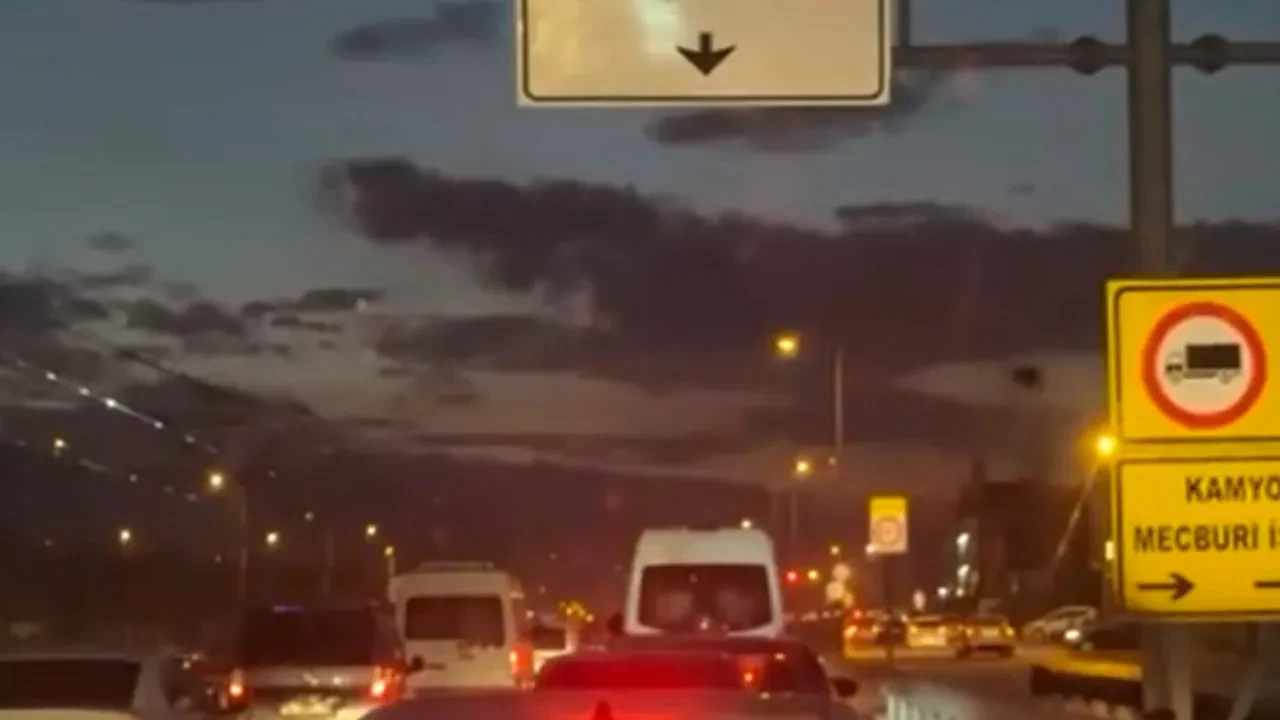 Bursa'da ilginç görüntü! Timsaha benziyor