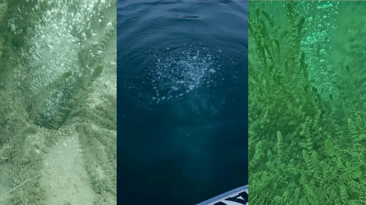 Depremin habercisi mi? Sapanca Gölü'nde su kaynıyor! Bölge halkının gözüne uyku girmiyor