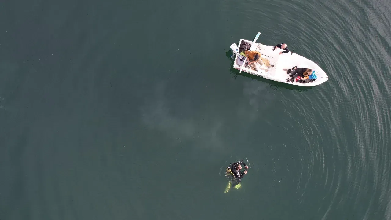 Kocaeli, Sakarya deprem bekleniyor mu? Sapanca Gölü'ndeki kabarcıkların ardından gündeme geldi