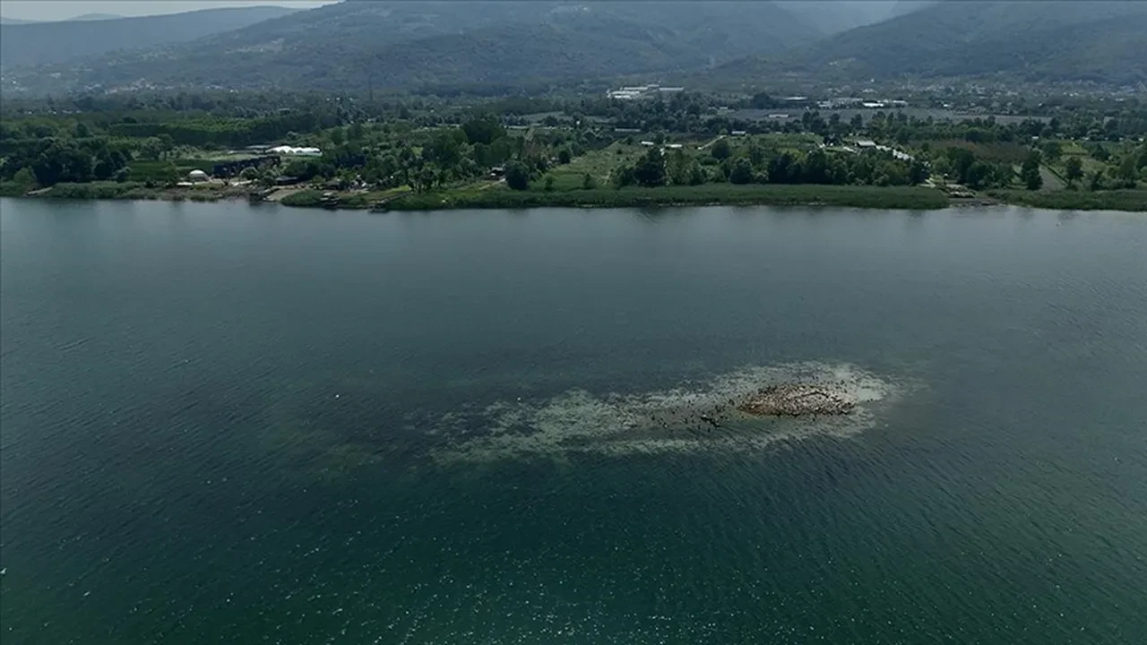 Kocaeli, Sakarya deprem bekleniyor mu? Sapanca Gölü'ndeki kabarcıkların ardından gündeme geldi