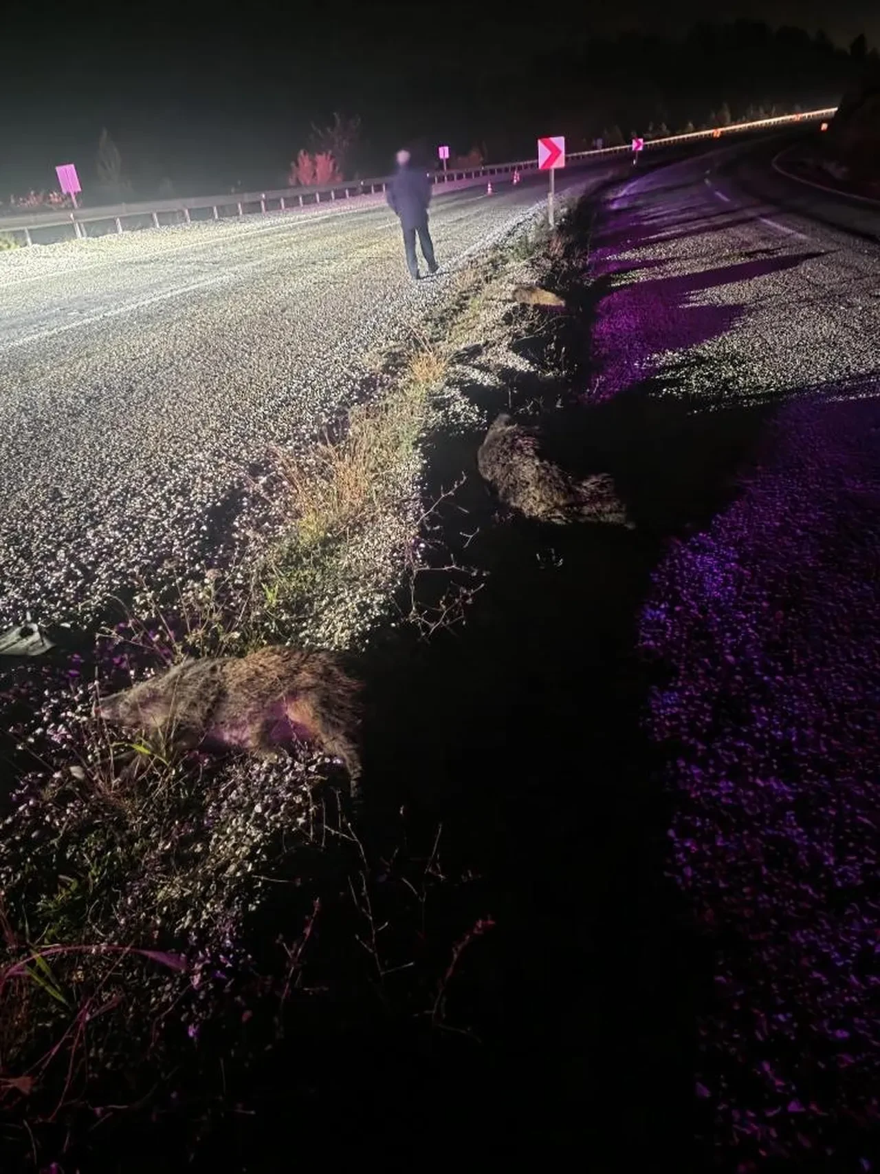 Sinop Belediye Başkanı Metin Gürbüz trafik kazası geçirdi