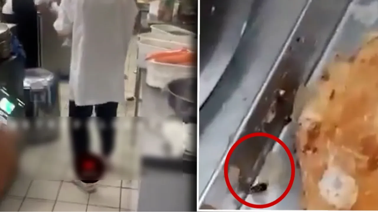 Ünlü muhallebicide mide bulandıran görüntüler! Böcekler ve fareler her yerde cirit atıyor 