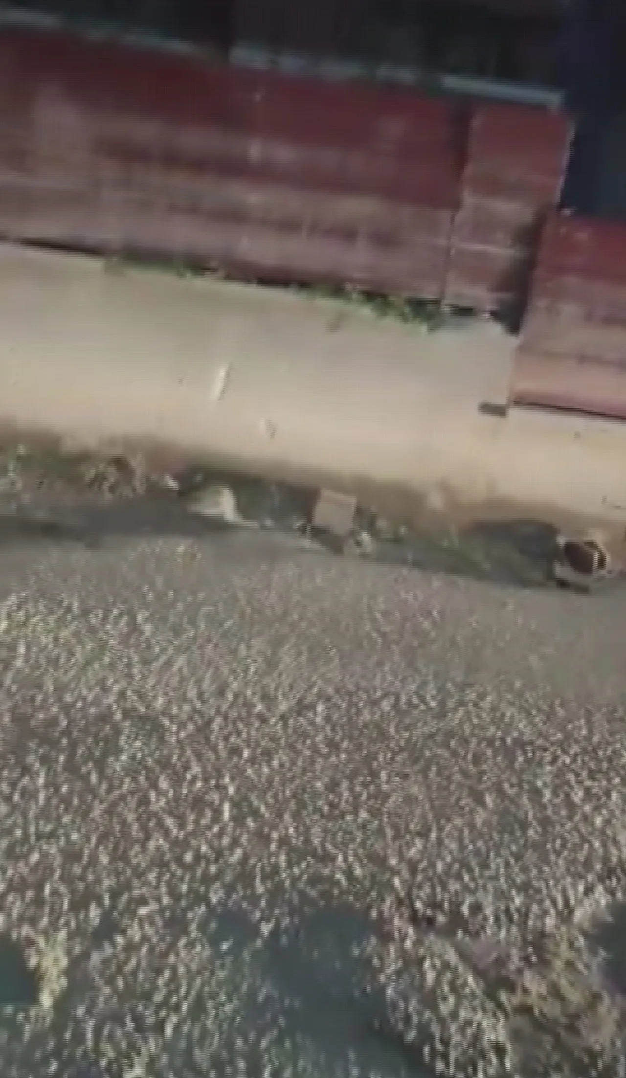 ‘Benim firmam zengin, cezamızı öderiz’ deyip ahkam kesmişti, bedeli ağır oldu!