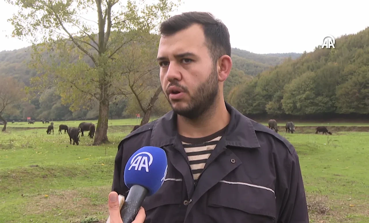 İstanbul’da çok konuşulacak yer! Çoğu kişi bilmiyor: Et, sucuk, manda sütü alınabiliyor