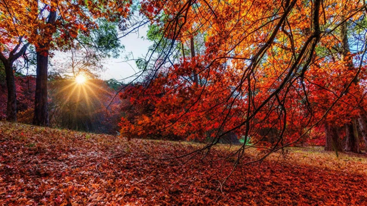 Pastırma sıcakları bitti mi ne zaman bitiyor?