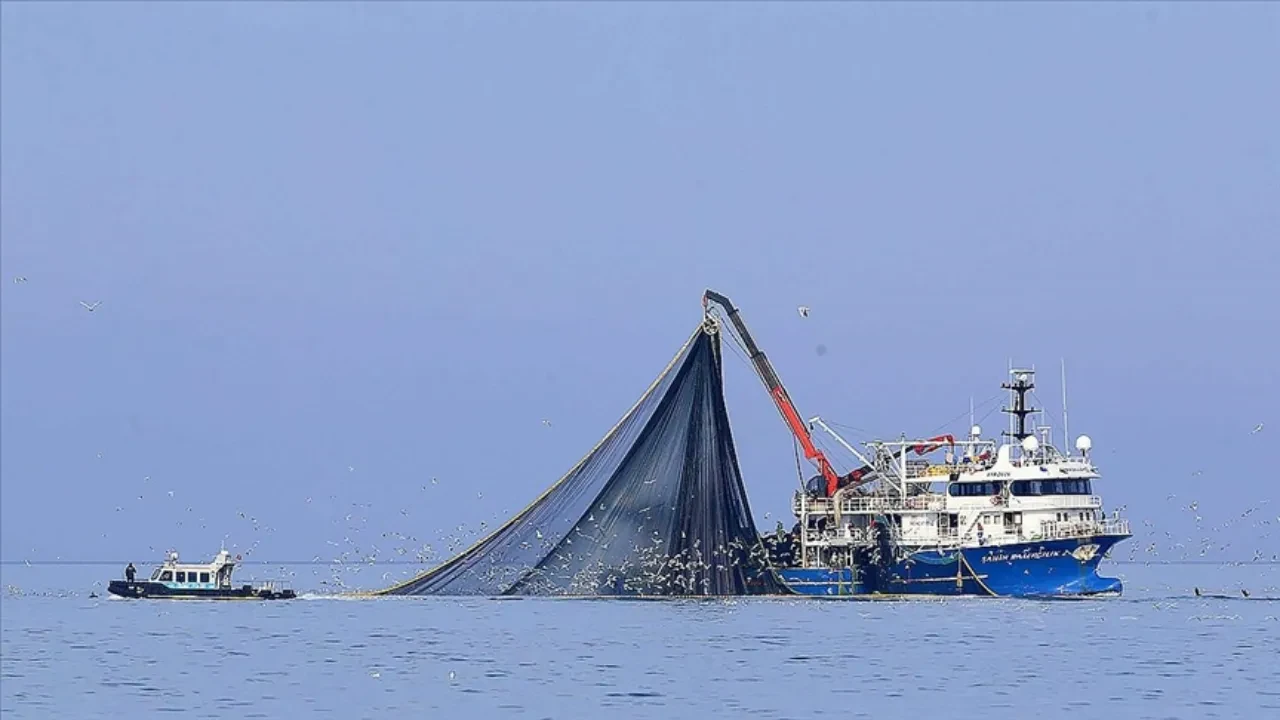 Hamsi Karadeniz'den kaçıyor!