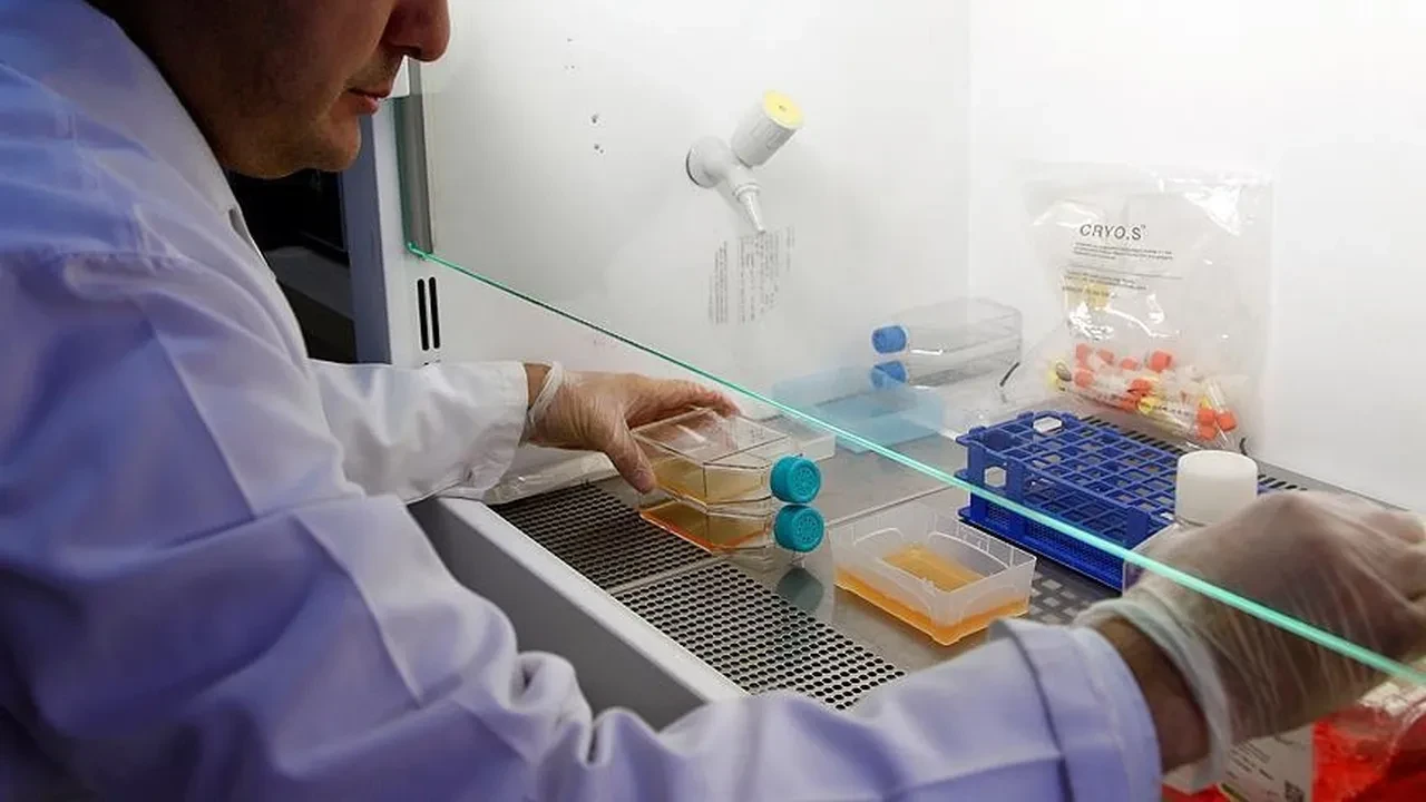 Kan kanserinde devrim: Şeker hastalığı, kan kanseri gibi tedavi edilecek