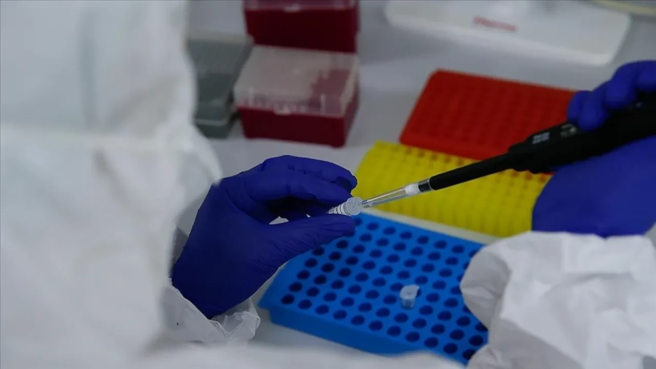 Kan kanserinde devrim: Şeker hastalığı, kan kanseri gibi tedavi edilecek