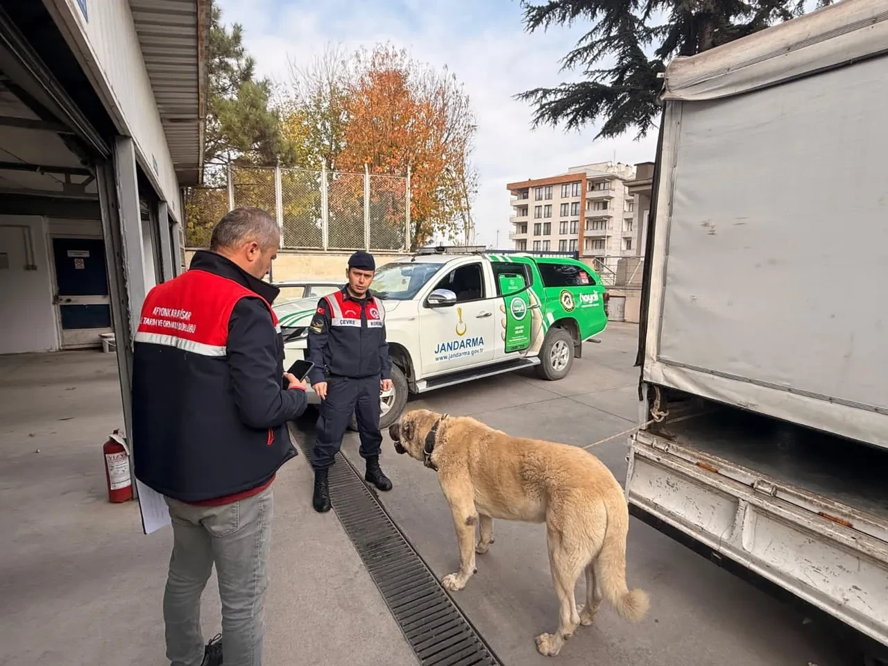 Köpek dövüştürenlere dronlu baskın! 12 kişi gözaltında