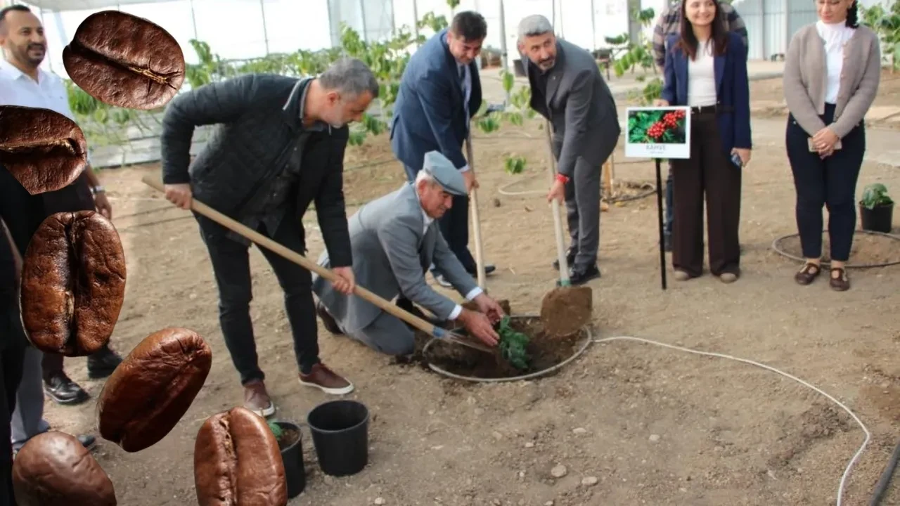 'Üretimiyle de Türk' kahvesi için harekete geçildi
