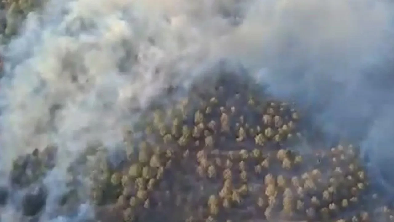 Ziraat alanında başlayan yangın ormana sıçradı