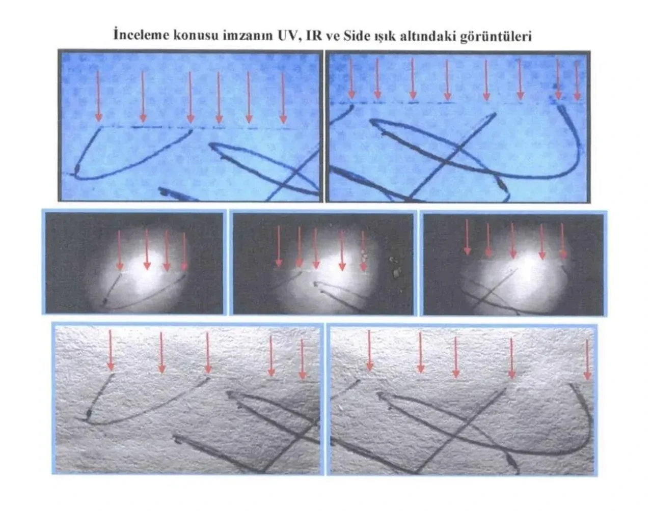 Aldığı SMS ile hayatı karardı! Almanya'dan Türkiye'ye döndü, 200 milyon TL dolandırıldı: Sadece emekli maaşı kaldı