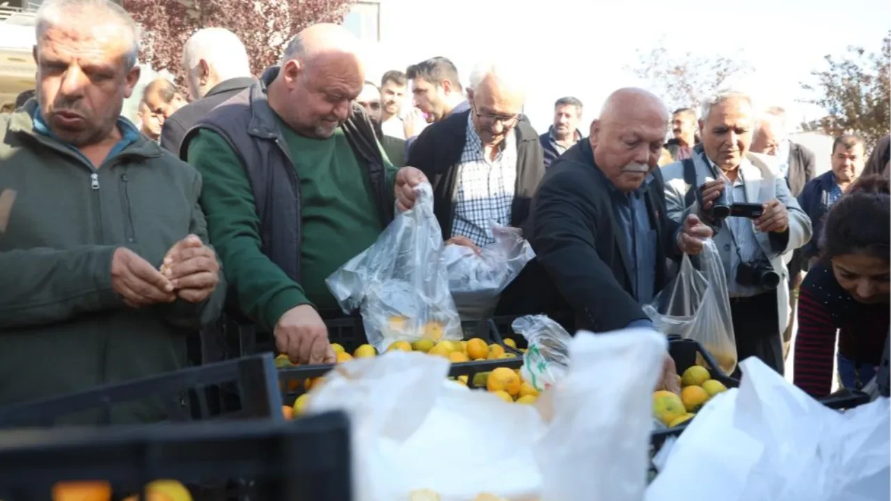 Mandalinanın kilosu 2 liraya düştü! Üreticiler bütün mahsulünü bedavaya dağıttı