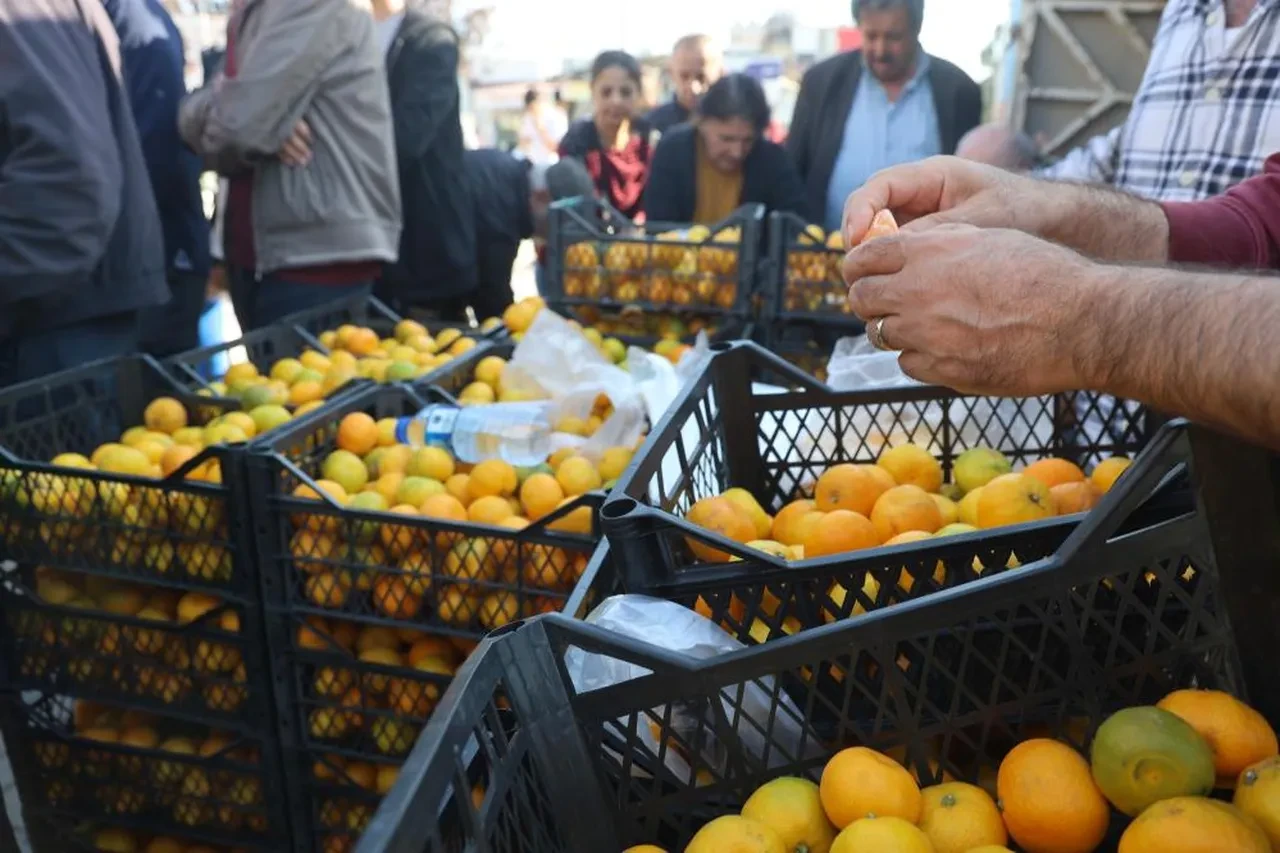 Mandalinanın kilosu 2 liraya düştü! Üreticiler bütün mahsulünü bedavaya dağıttı