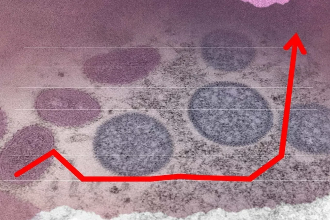 Ölümcül maymun çiçeği (mpox) virüsü Avrupa'da yayılıyor: Uzmanlardan 'aşı kıtlığı' uyarısı