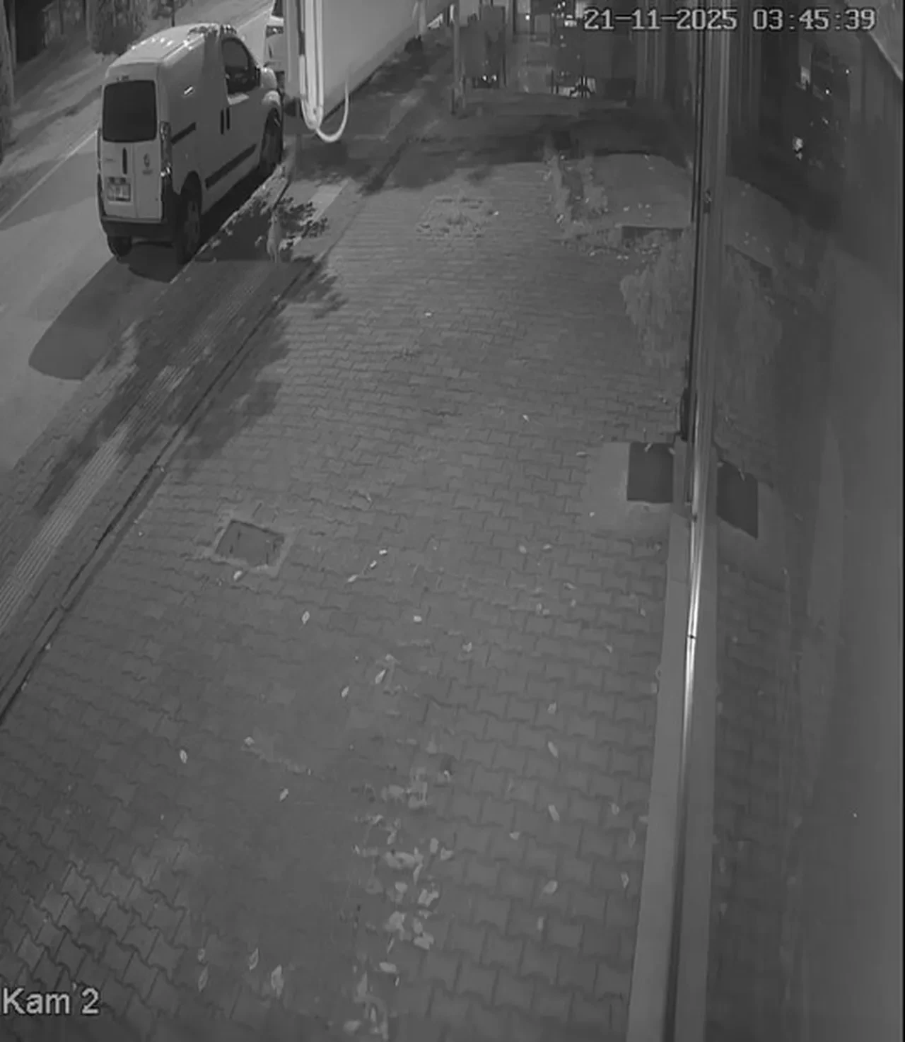 Pilavcıya girdi yemek yapamayınca tatlı yedi! İş yeri sahibi: 'Hırsız arkadaş sana da merhab