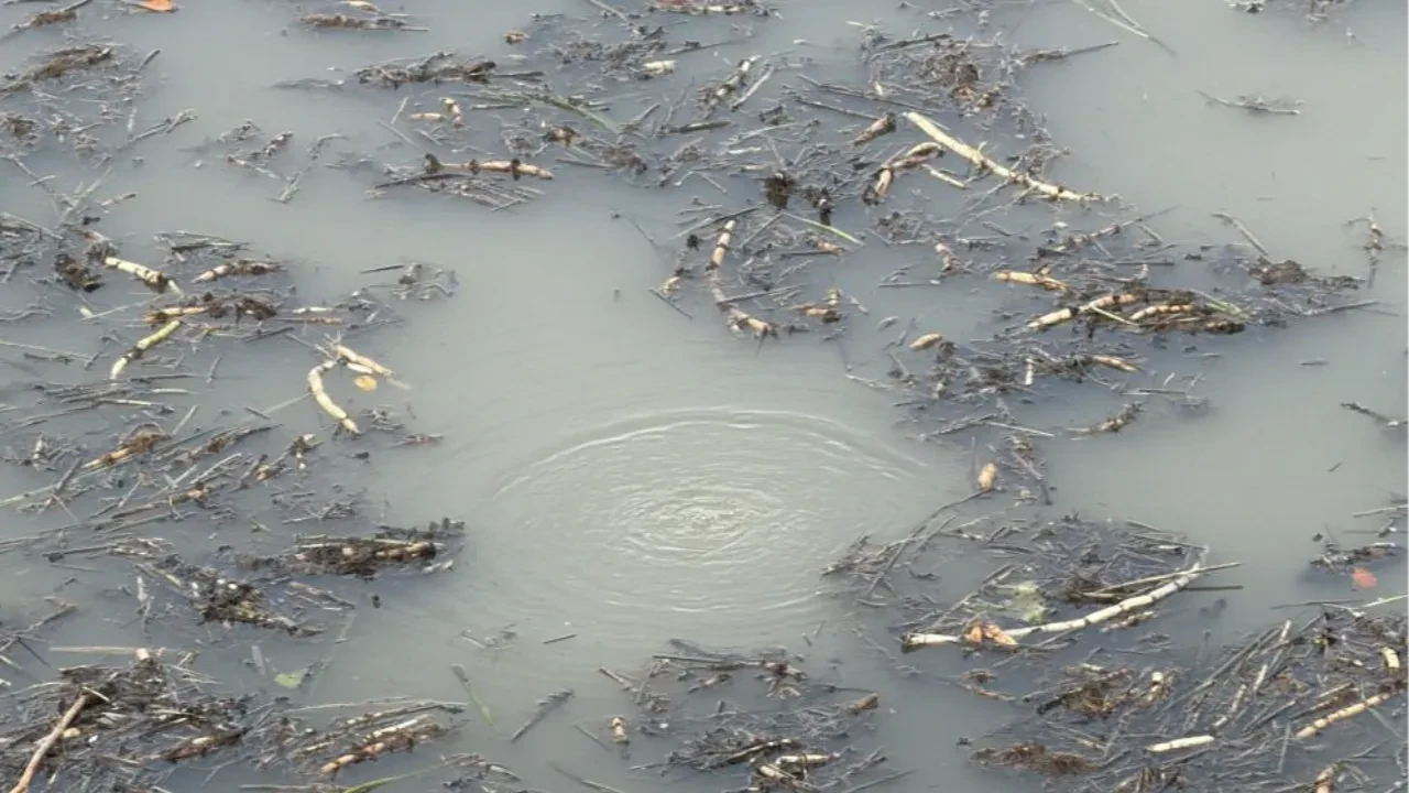 Sapanca'nın ardından şimdi Düzce'de ortaya çıktı! Turistik gölde su kaynıyor