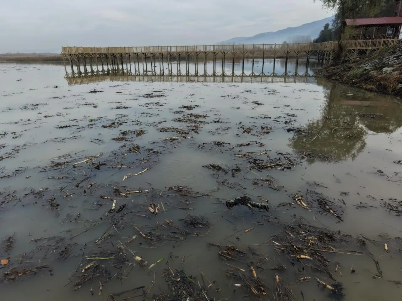 Sapanca'nın ardından şimdi Düzce'de ortaya çıktı! Turistik gölde su kaynıyor