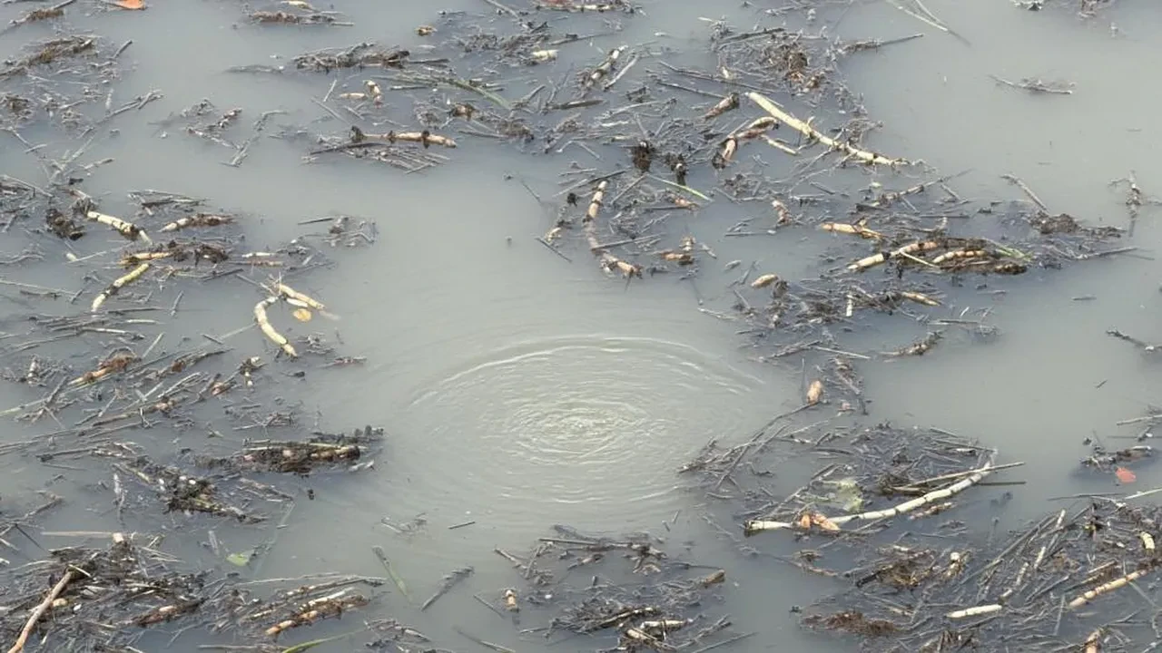 Sapanca'nın ardından şimdi Düzce'de ortaya çıktı! Turistik gölde su kaynıyor