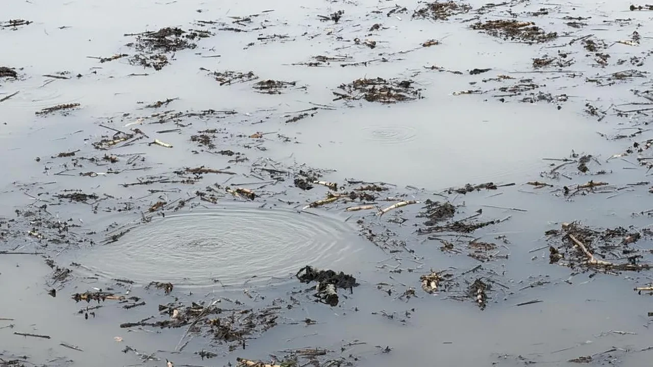Sapanca'nın ardından şimdi Düzce'de ortaya çıktı! Turistik gölde su kaynıyor