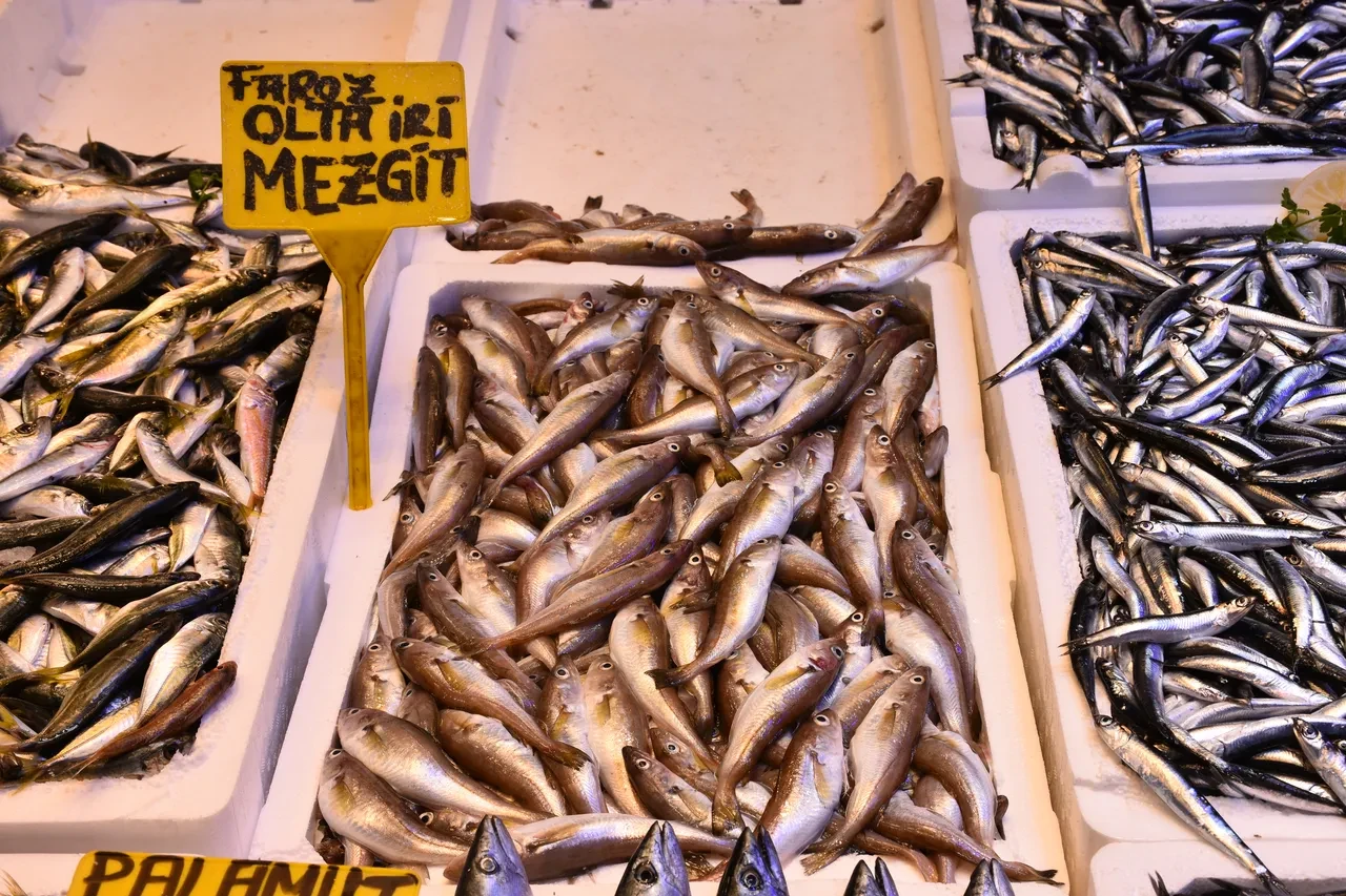 Tezgahlar hamsi bolluğu ve ucuzluğu: En pahalı balıklar belli oldu!